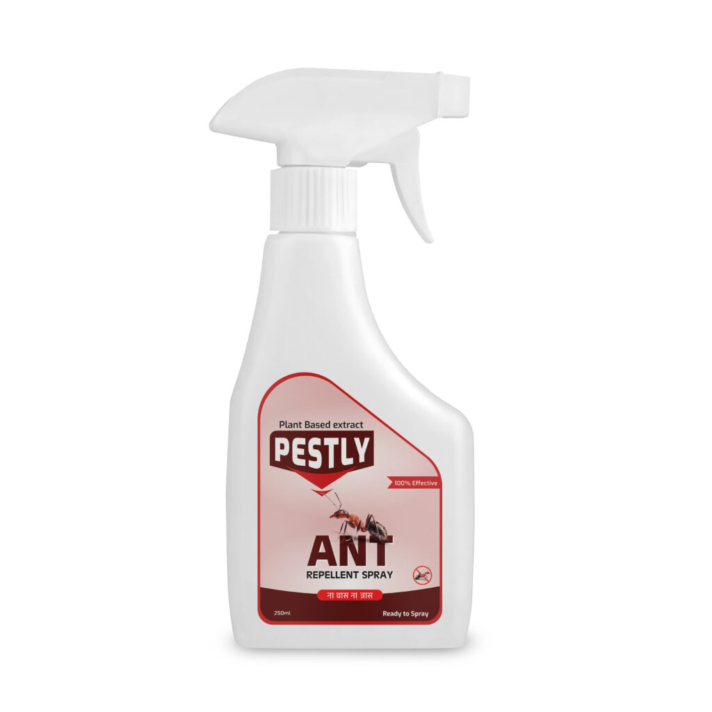 Pestly Ant Repellent Spray – Easy-to-Use Ant Control Solution, 250 ml